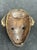 West African Dan Tribe Cowrie Shell Wood Mask For Sale - Image 12 of 12