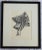 Late 20th Century Vintage Set of Eight Anatomical Lithographs After Albrecht Von Haller For Sale - Image 5 of 11