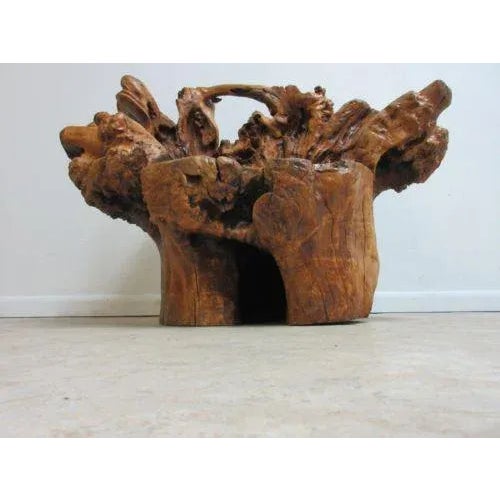 Vintage Mid Century Free Form Live Edge Root Lounge Chair For Sale In Philadelphia - Image 6 of 11