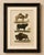 Buffon Dromedary Camel, Buffalo & Bison Hand-Colored Engraving, c. 1835 : Original antique hand-colored engraving titled...