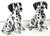 Late 20th Century Pair of Italian Hollywood Regency Hand-Painted Pottery Dalmatian Puppies, 1970s For Sale - Image 5 of 18