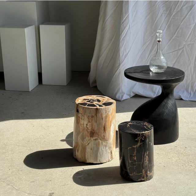 Multicolored petrified wood side table H45 D24 - 3328. Petrified wood is a fossilized form of wood (from the same family...