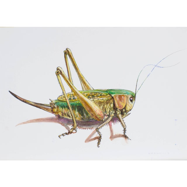 Contemporary Juris Utans, Grasshopper II, 2021, Mixed Media on Paper For Sale - Image 3 of 3