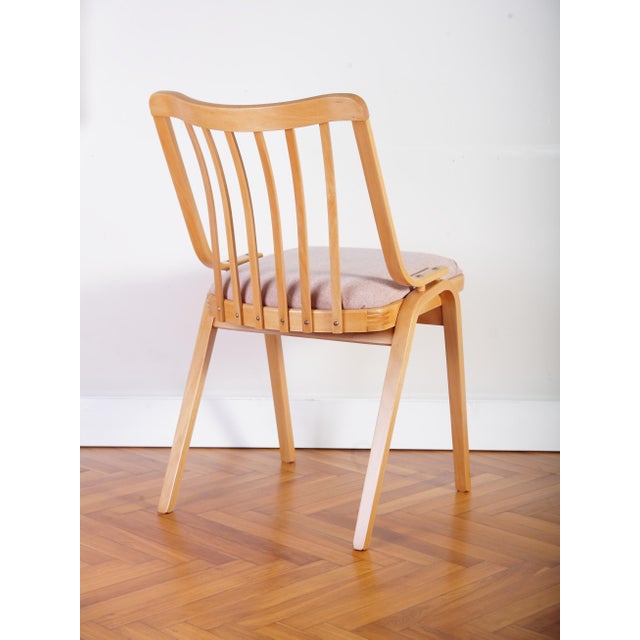 Completely restored dining chair from national furniture maker ton in former czechoslovakia in mid 70s. beech frame, legs...
