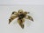 Golden Florentine Flower Shape Flushmounts attributed to Willy Daro for Massive, 1960s, Set of 2 For Sale - Image 10 of 14