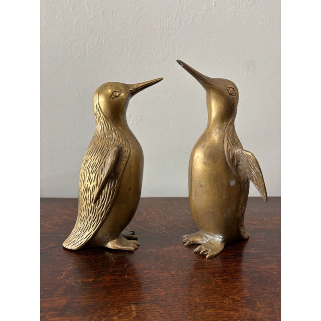 There is something undeniably charming about a pair of penguins. Perhaps it is the way they seem to move through the world...