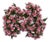 Pink White Flower Napkin Rings Set of 10 For Sale