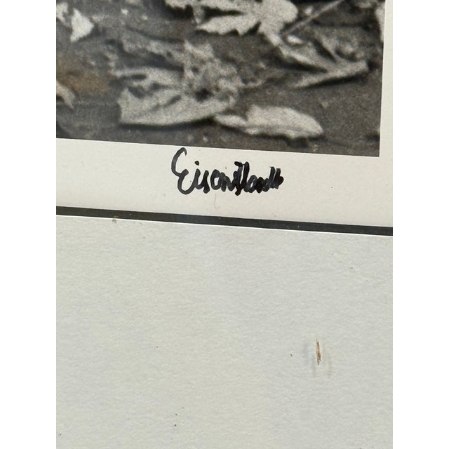 An American Block, Hamilton, Ohio, 1943 Signed by Alfred Eisenstaedt For Sale In San Diego - Image 6 of 18