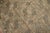 Early 20th Century Soft Brown Denim Blue Tribal Ersari Carpet - 7'4" x 9'8" For Sale In New York - Image 6 of 6