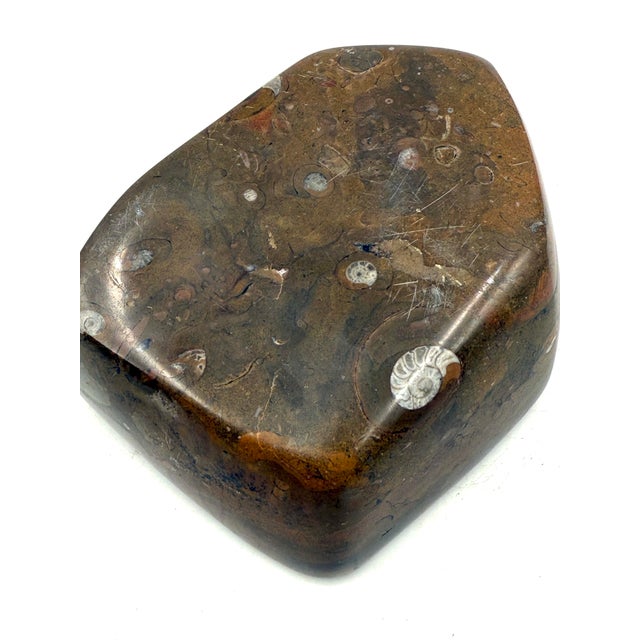 Luxury Fossil Brown Marble Ashtray Bowl, France 1970s For Sale - Image 9 of 10
