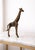 Enhance your home décor with this elegant antique-style giraffe sculpture, beautifully crafted from real metal and...