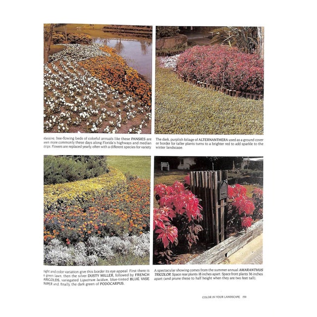 Paper "Landscaping in Florida: A Photo Idea Book" 1989 Perry, Mac For Sale - Image 7 of 12