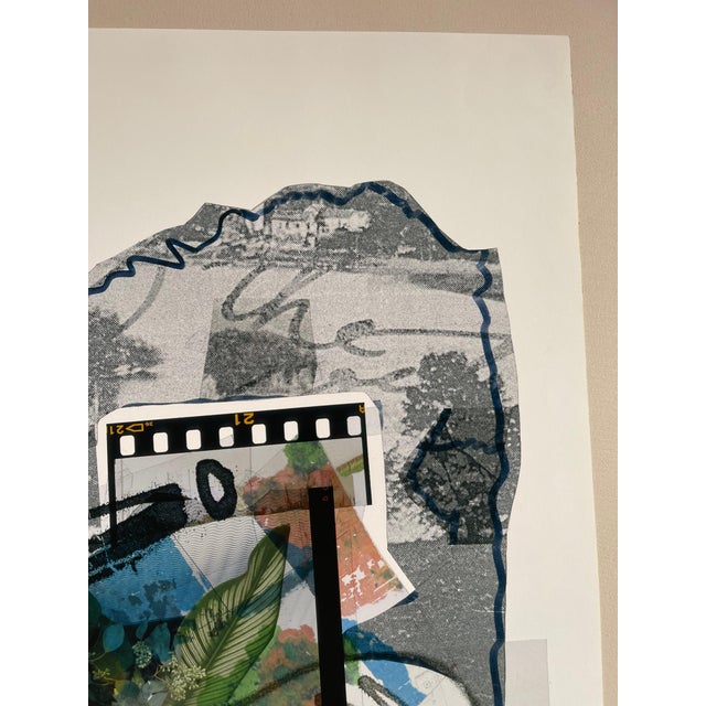2010s Early 21st Century "Summer Flowers In The Catskills" Abstract Expressionist Print by Peter Astrom For Sale - Image 5 of 13