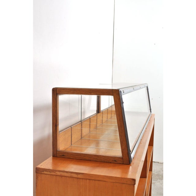 Counter showcase rare long display case from minks leeuwarden. they remain beautiful this type of showcases. This oak...