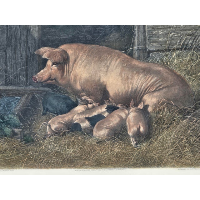 Farmhouse Antique 1855 Hand-Colored Engraving "Sow and Pigs" After j.f. Herring Sr. — Framed Rustic Farm Scene For Sale - Image 3 of 11
