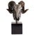 Bronze Ram's Skull Silver Plated For Sale - Image 8 of 8