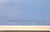 2000 - 2009 Large Framed Brett Smith Sporting Print 'Camp Fishermen' #107/950 With Uv Glass For Sale - Image 5 of 8