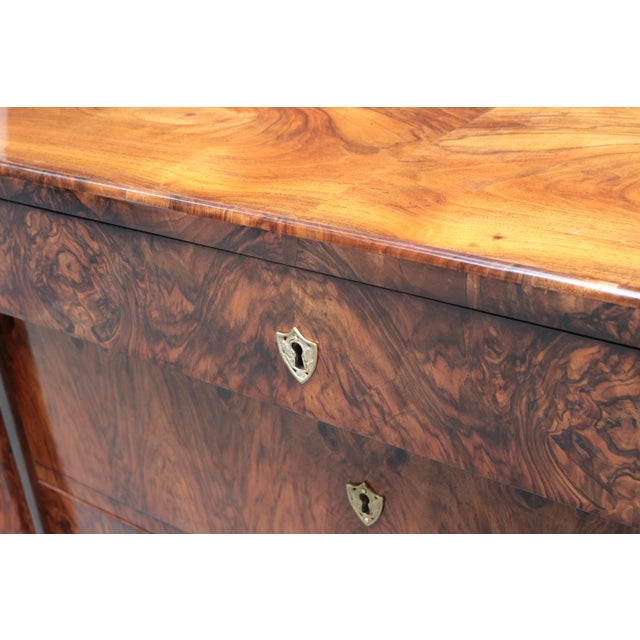 Brown Early 19th Century Fine Single Biedermeier Chest of Drawers For Sale - Image 8 of 10