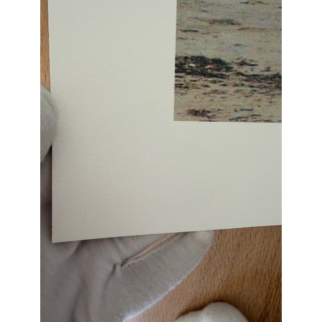 Modern Nicolas Le Beuan Benic, Plage, 2013, Copyright Nicolas Le Beuan Benic, 2014 Large Format For Sale - Image 3 of 15