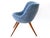 Set of Mid-Century Easy Chairs attributed to Fritz Neth for Correcta, Germany, 1950s For Sale - Image 16 of 18