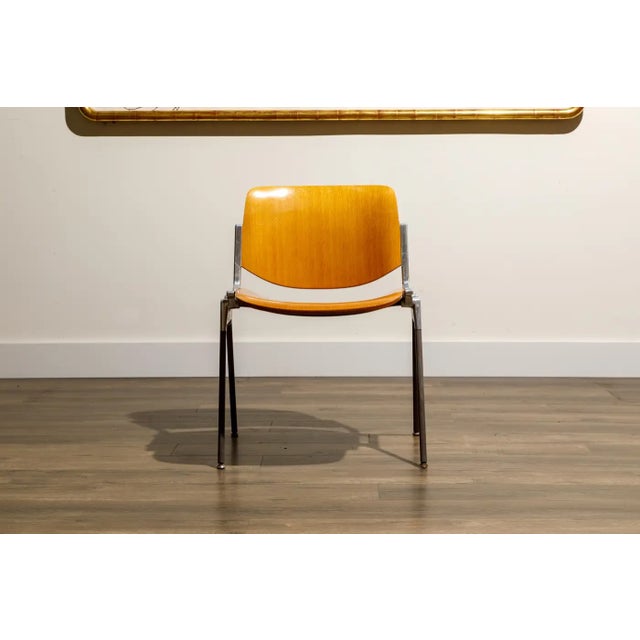 Brown Giancarlo Piretti for Castelli 'Dsc 106' Stacking Dining Chairs, C 1965, Signed For Sale - Image 8 of 17