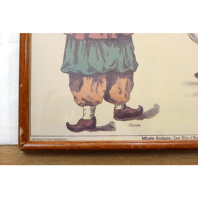 Great educational / original educational displays on ''Tea'': Displays No. 543 designed by Bernard Carant, printed and...