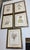 Design Plus Gallery presents a Set of Five Botanical Prints from Lussier Lajoie Framing. The art pieces are all...