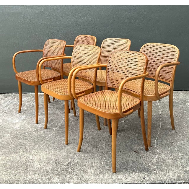Vintage Stendig Bent Wood Cane Dining Chairs - Set of 6 For Sale - Image 13 of 16