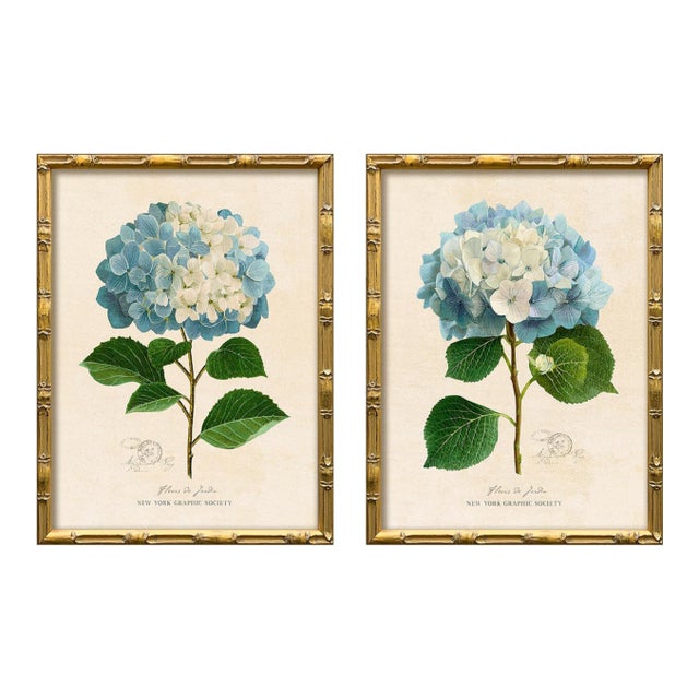 Reproduction Framed Blue Hydrangea Giclee Prints - Set of 2 For Sale