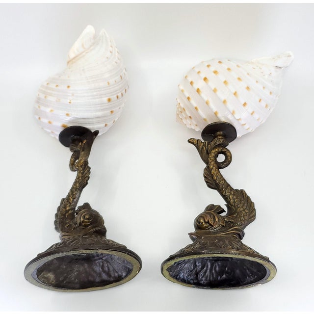 Sculpture Pair Seashells Shells & Antique Koi For Sale - Image 10 of 14