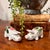 Mid 20th Century Plichta Tiny Floral Design Hand Painted Ceramic Pigs - A Pair For Sale - Image 9 of 17