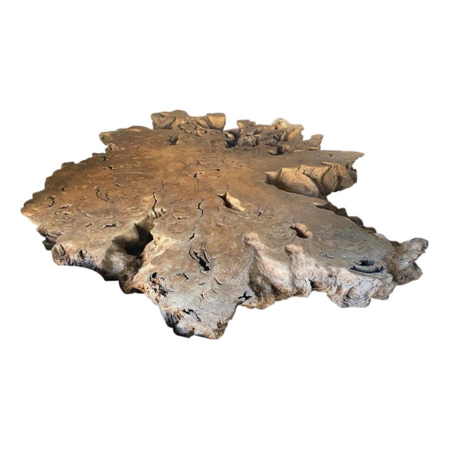 Andrianna Shamaris Monumental Rare Teak Wood Root Coffee Table For Sale