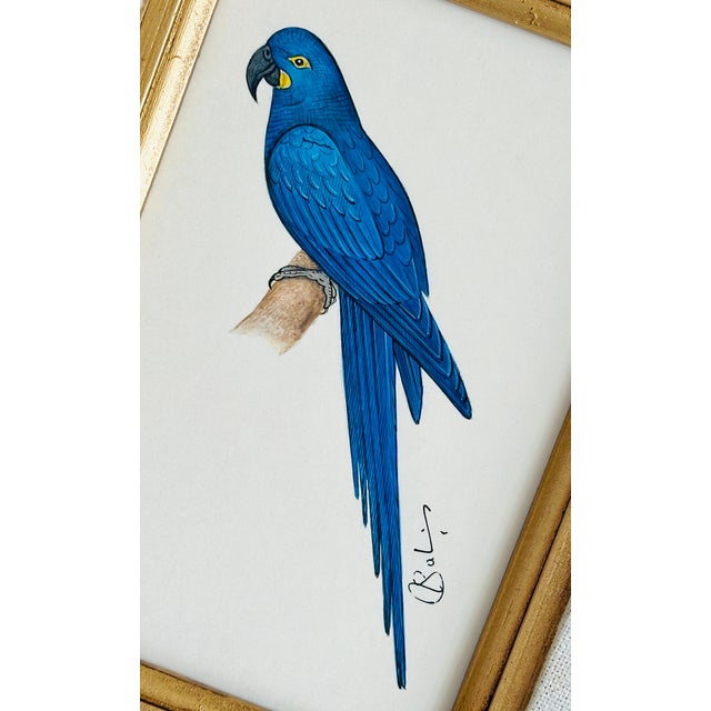 This hand-painted blue parrot is painted in rich shades of cobalt, teal, and deep blue, with fine detailing throughout the...