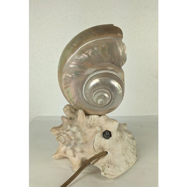 Deco Nautilus and Conch Shell Lamp For Sale - Image 4 of 11