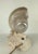 Deco Nautilus and Conch Shell Lamp For Sale - Image 4 of 11