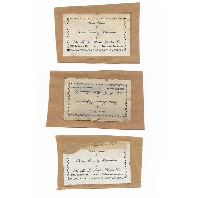 Bit Mouton Louisiana Lithographs - Set of Four For Sale - Image 6 of 6