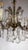 Glass Maria Theresia 5-Light Chandelier from Palwa, 1960s For Sale - Image 7 of 11