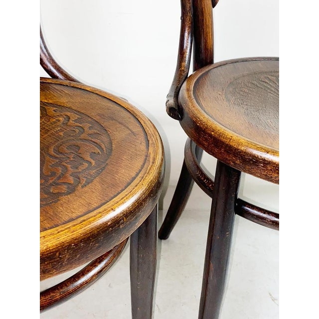 Thonet Nr.14 Chairs from Thonet, 1900s, Set of 2 For Sale - Image 4 of 9