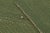 Rug & Kilim's Contemporary Rez Kilim Flatweave Rug With Green Striped Design For Sale - Image 9 of 10