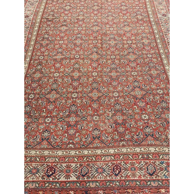 Very beautiful long Kurdish rug with beautiful decorative Herati design and nice natural colors, entirely and finely hand...