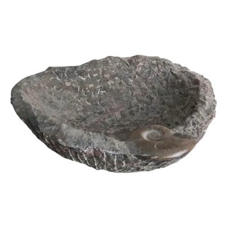 Carved Stone Bowl with Goniatite Fossil Detail, Morocco, 2000s For Sale