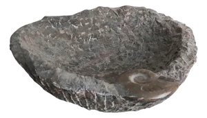 Carved Stone Bowl with Goniatite Fossil Detail, Morocco, 2000s