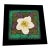 Colorado Columbine State Flower Fiber Art For Sale