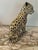Ceramic Mid 20th Century Ceramic Leopard Made in Italy For Sale - Image 7 of 10