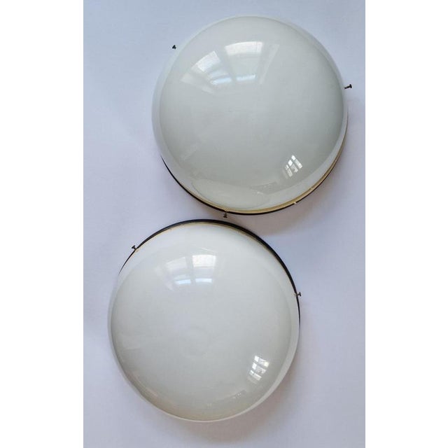 Mid-Century Ceiling Lamps, 1950s For Sale - Image 16 of 18