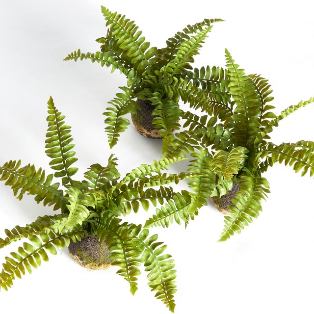 100% realistic a perfect copy of your favorite greens. These dropins are nohassle works of art. Right down to the...