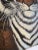African Tiger Painting by Bonnie Russell For Sale - Image 3 of 6