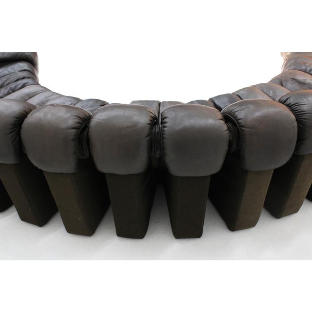 Brown Vintage DS-600 Non Stop Snake Sofa from de Sede, 1970s, Set of 22 For Sale - Image 8 of 14