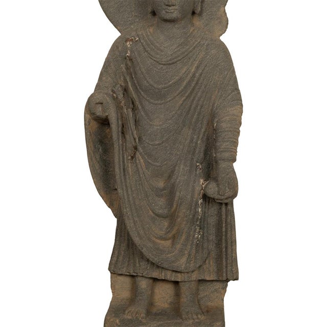 Ancient Indian Carved Stone Gandharan Shakyamuni Buddha Statue 2nd Century A.D. For Sale - Image 14 of 16
