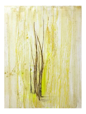 Grass Marks - wax pigments and grass blades - by Claudio Palmieri - 2010 2010